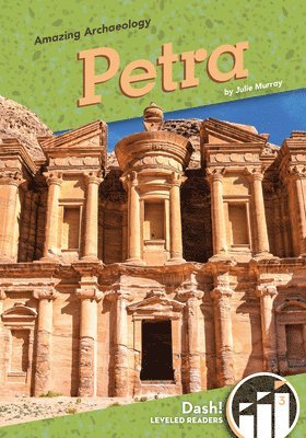 bokomslag Petra