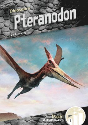 Pteranodon 1