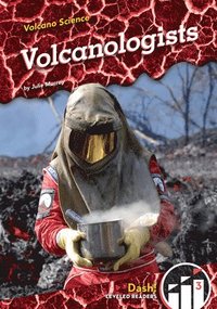 bokomslag Volcanologists