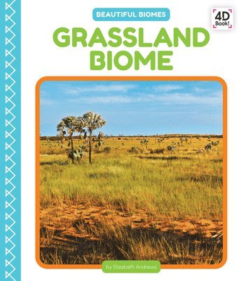 Grassland Biome 1