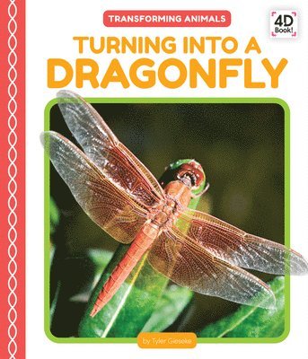 bokomslag Turning Into a Dragonfly