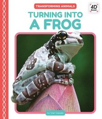 bokomslag Turning Into a Frog
