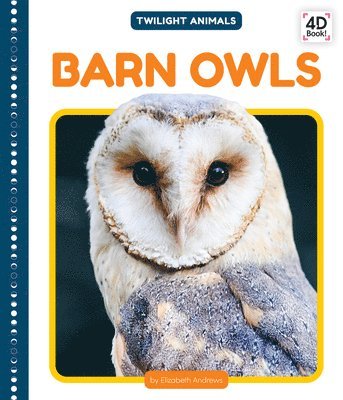 bokomslag Barn Owls