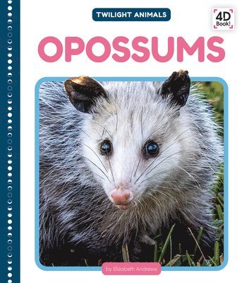 bokomslag Opossums