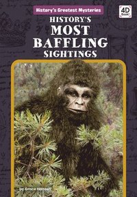 bokomslag History's Most Baffling Sightings
