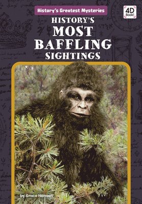 bokomslag History's Most Baffling Sightings