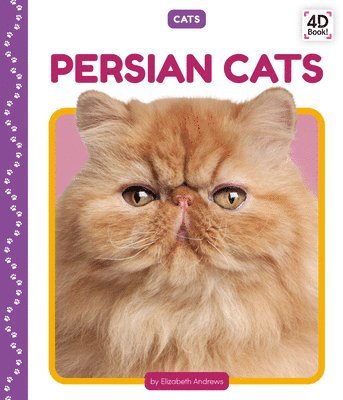 bokomslag Persian Cats