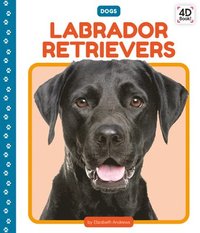 bokomslag Labrador Retrievers