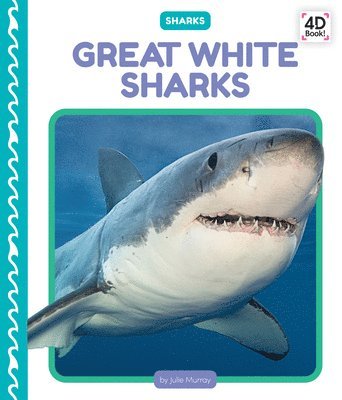 Great White Sharks 1