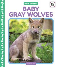 bokomslag Baby Gray Wolves