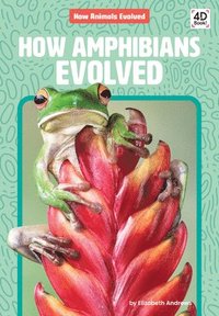 bokomslag How Amphibians Evolved