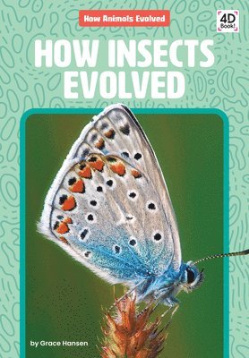 Grace Hansen - How Insects Evolved, Inbunden
