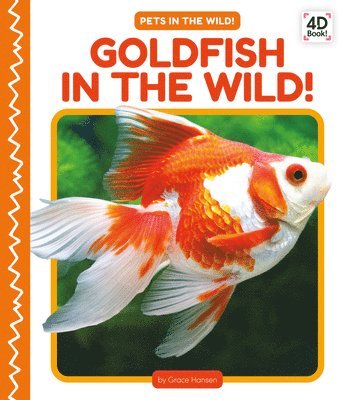 bokomslag Goldfish in the Wild!