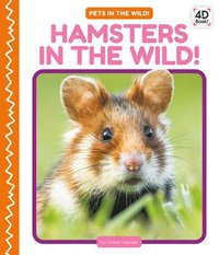 bokomslag Hamsters in the Wild!