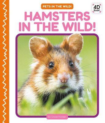 Hamsters in the Wild! 1