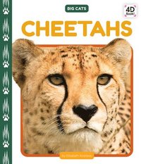 bokomslag Cheetahs