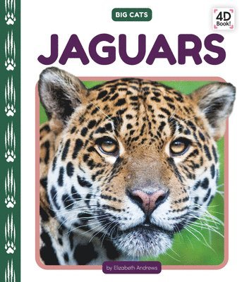 bokomslag Jaguars