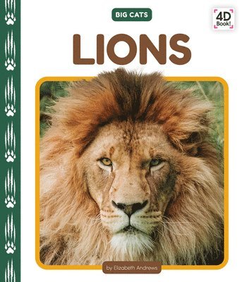 bokomslag Lions