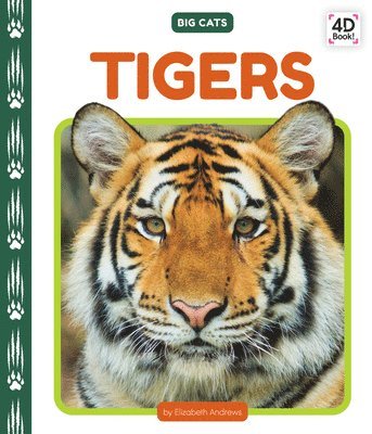 Tigers 1