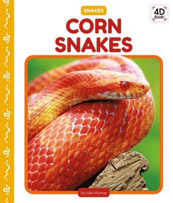 Corn Snakes 1