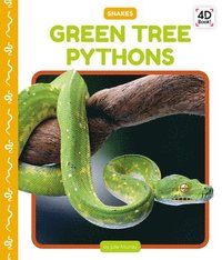 bokomslag Green Tree Pythons