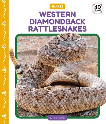 bokomslag Western Diamondback Rattlesnakes