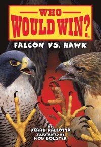 bokomslag Falcon vs. Hawk