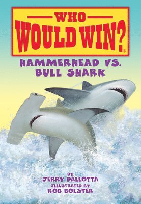 Hammerhead vs. Bull Shark 1