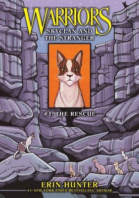 bokomslag Skyclan and the Stranger #1: The Rescue: The Rescue