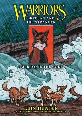 Erin Hunter - Skyclan and the Stranger #2: Beyond the Code: Beyond the Code, Inbunden