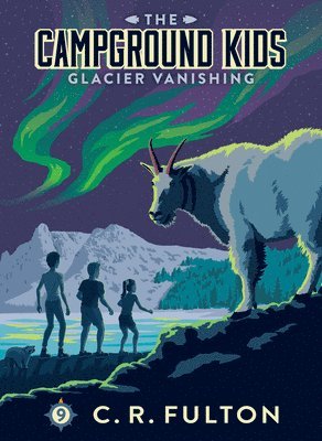 C. R. Fulton - Glacier Vanishing: #9, Inbunden