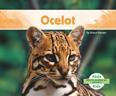 Ocelot 1