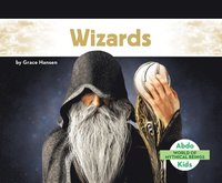 bokomslag Wizards