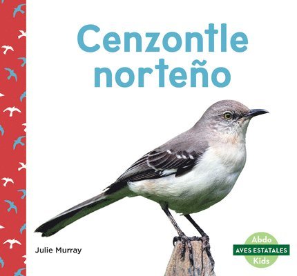 Cenzontle Norteño (Northern Mockingbirds) 1