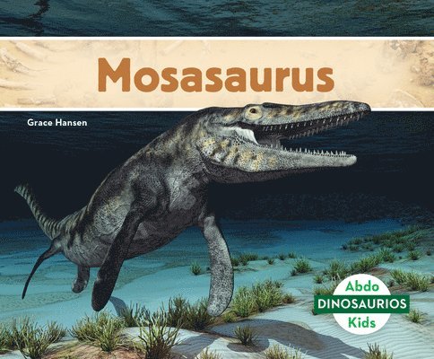 Mosasaurus (Mosasaurus) 1