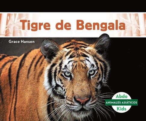 Tigre de Bengala 1