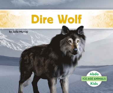 bokomslag Dire Wolf