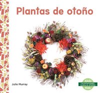 bokomslag Plantas de Otoño