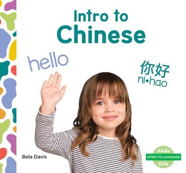 bokomslag Intro to Chinese