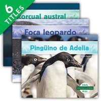 bokomslag Animales de la Antártida (Set)