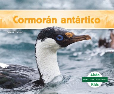 bokomslag Cormorán Antártico