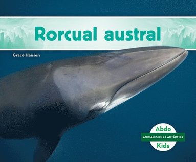 bokomslag Rorcual Austral