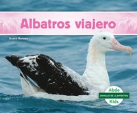 bokomslag Albatros Viajero