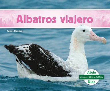 bokomslag Albatros Viajero (Wandering Albatross)