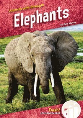 Elephants 1