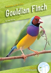 bokomslag Gouldian Finch