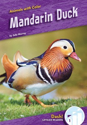 bokomslag Mandarin Duck