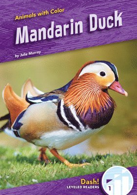 Julie Murray - Mandarin Duck, Inbunden