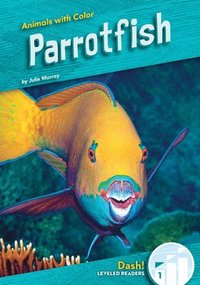 bokomslag Parrotfish