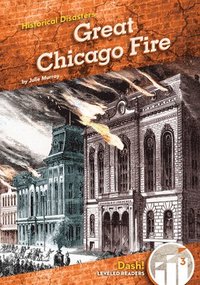 bokomslag Great Chicago Fire